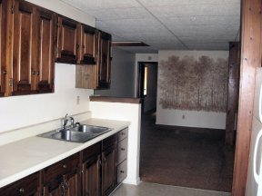 View of Living Room from Kitchen